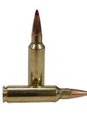 Hornady Precision Hunter .300 Winchester Short Magnum 200 grain ELD-X Centerfire Rifle Ammunition