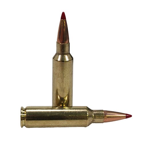 Hornady Precision Hunter .300 Winchester Short Magnum 200 grain ELD-X Centerfire Rifle Ammunition