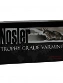 Nosler 22 55gr Ballistic Tip /20 60015